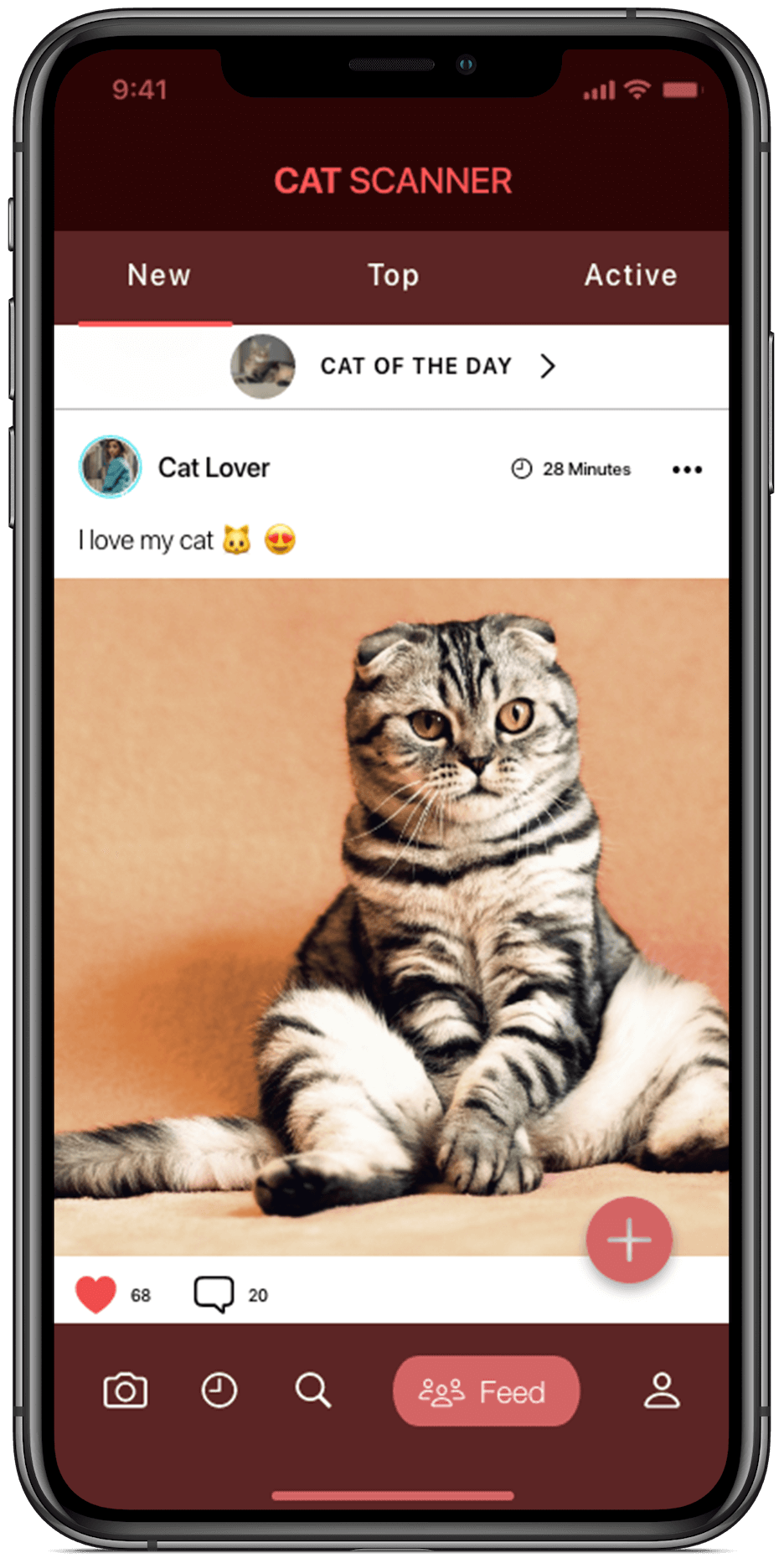 Cat Scanner - Идентификация породы кошек на Android и iOS