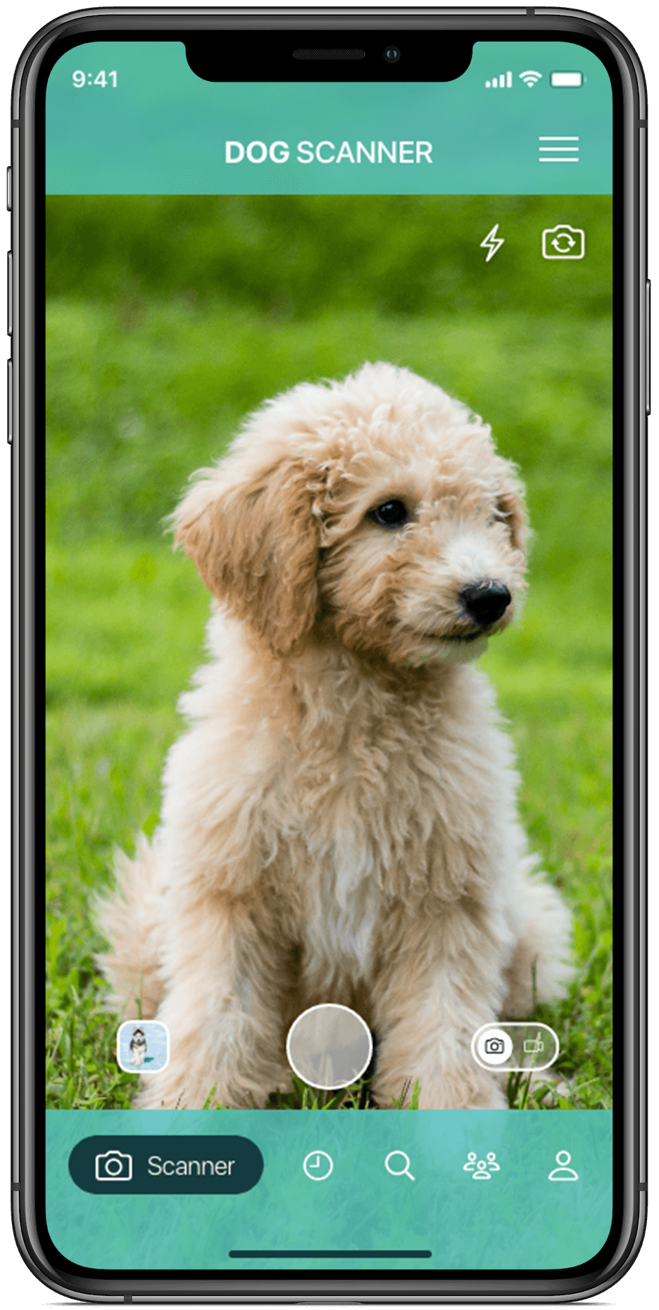 Dog Scanner - №1 Идентификация породы собак на Android и iOS