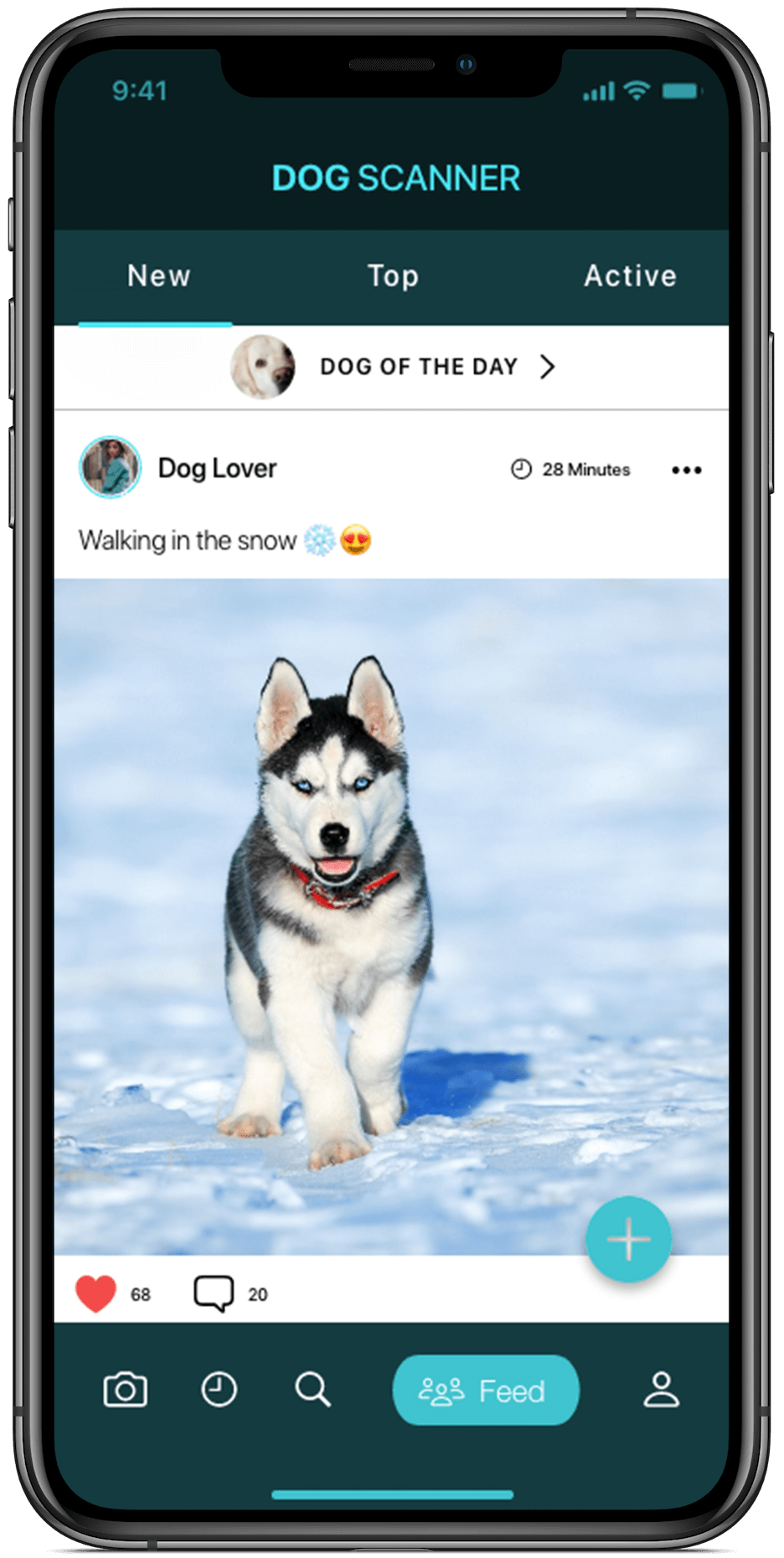 Dog Scanner - №1 Идентификация породы собак на Android и iOS