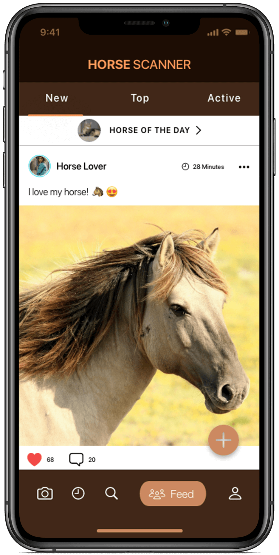 Horse Scanner - Идентификация лошадиной породы на Android и iOS